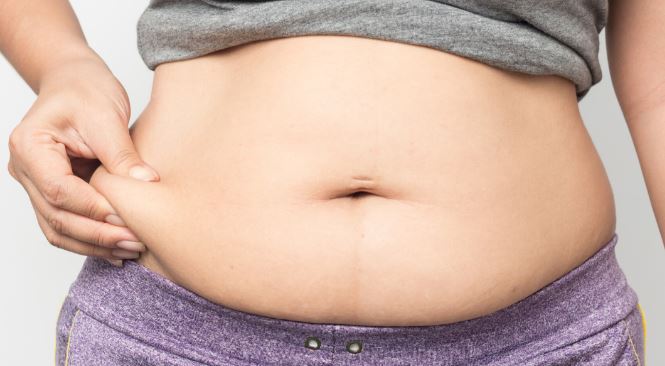 5 Major Causes of Stomach Fat: Understanding the Science Behind It