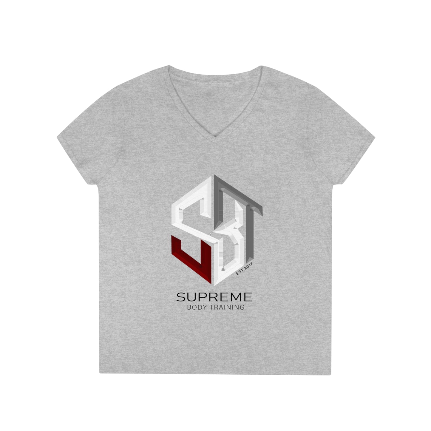 Ladies' V-Neck T-Shirt