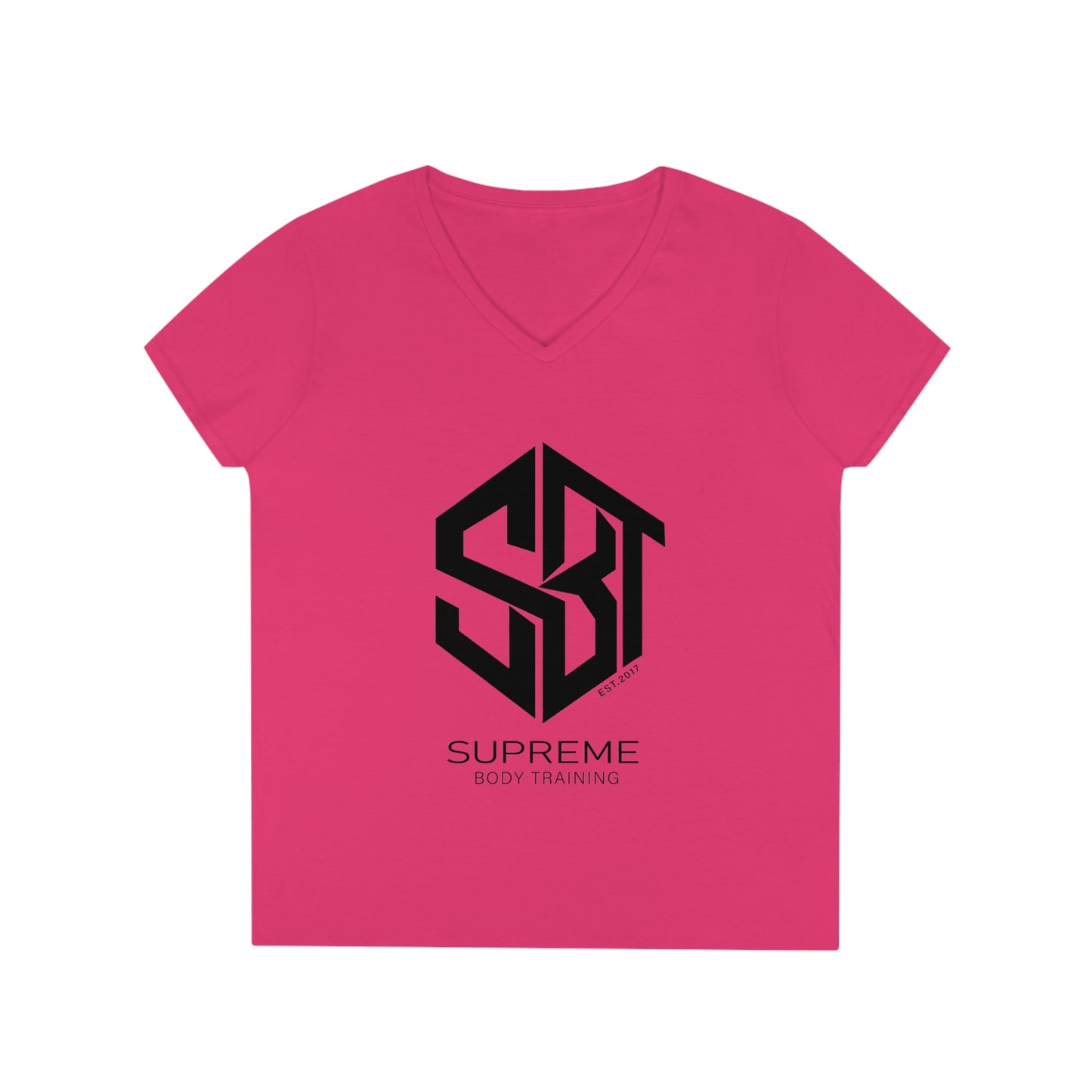 Ladies' V-Neck T-Shirt