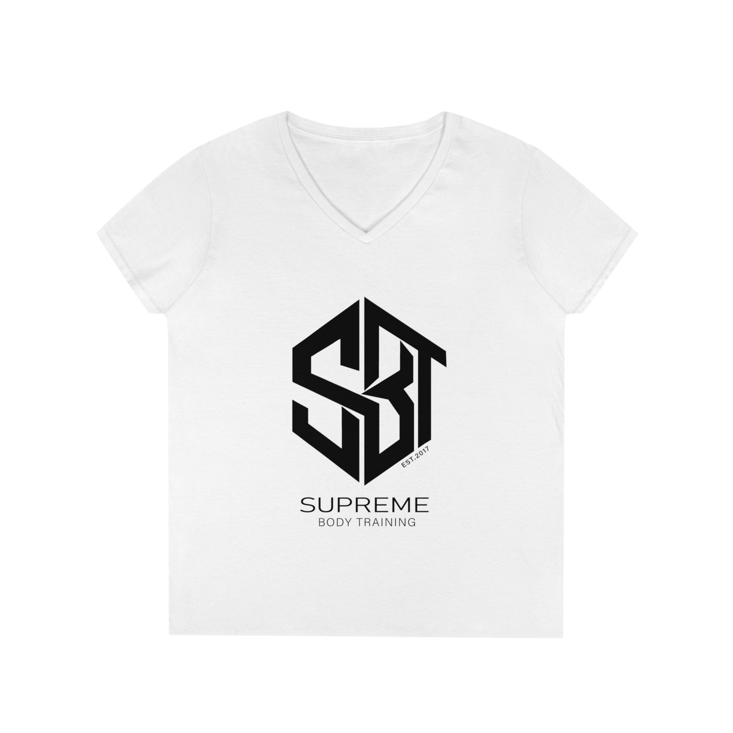 Ladies' V-Neck T-Shirt