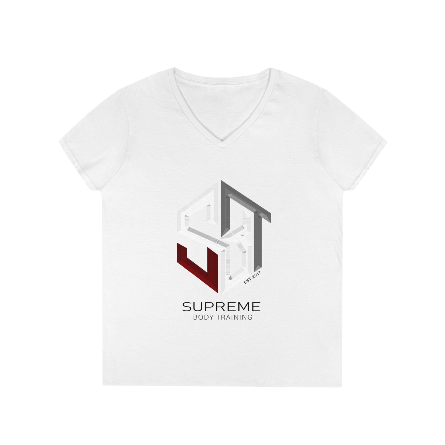 Ladies' V-Neck T-Shirt